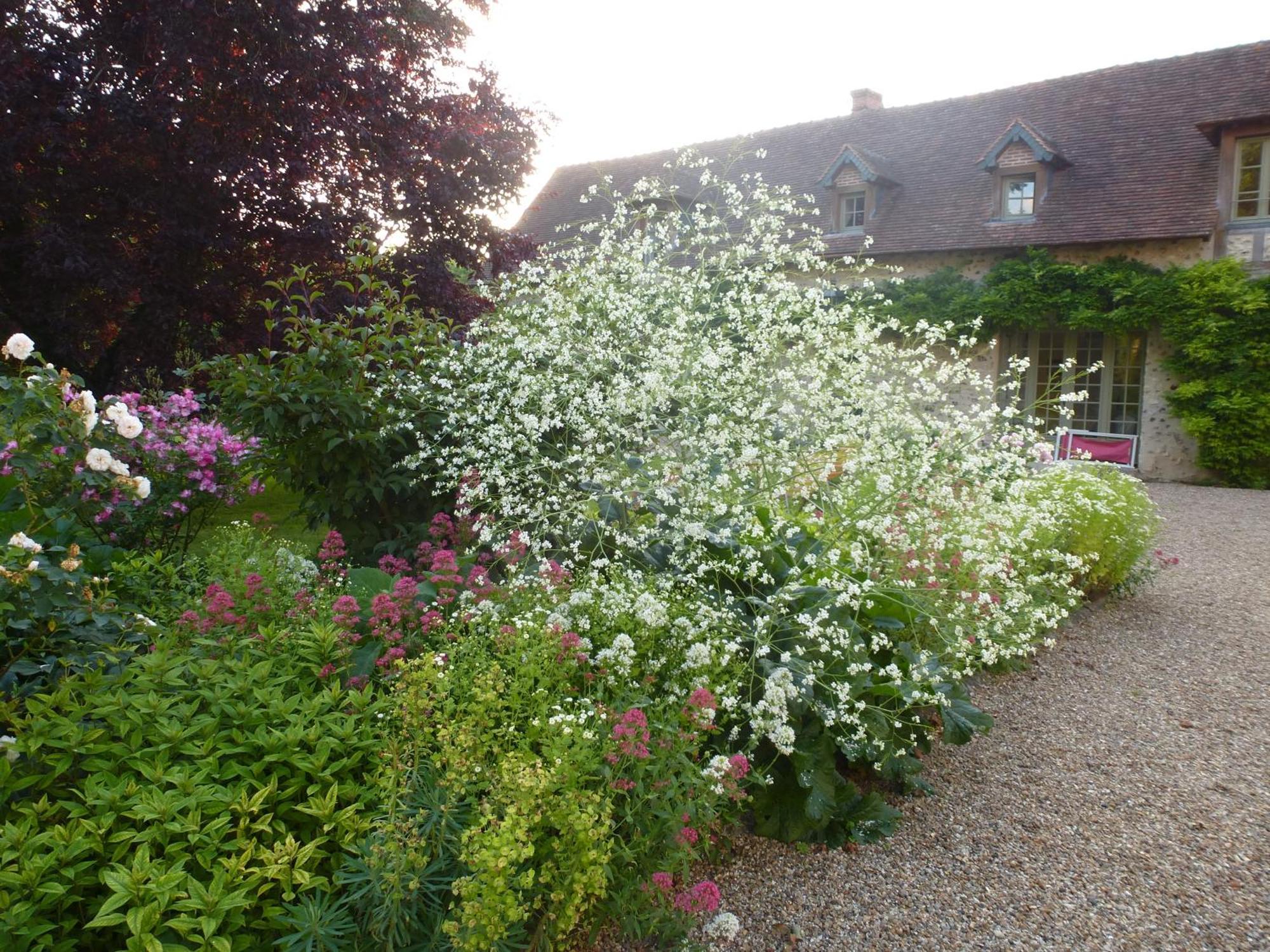 Gite Et Chambres D'Hotes Clos De Mondetour Fontaine-sous-Jouy Exterior foto