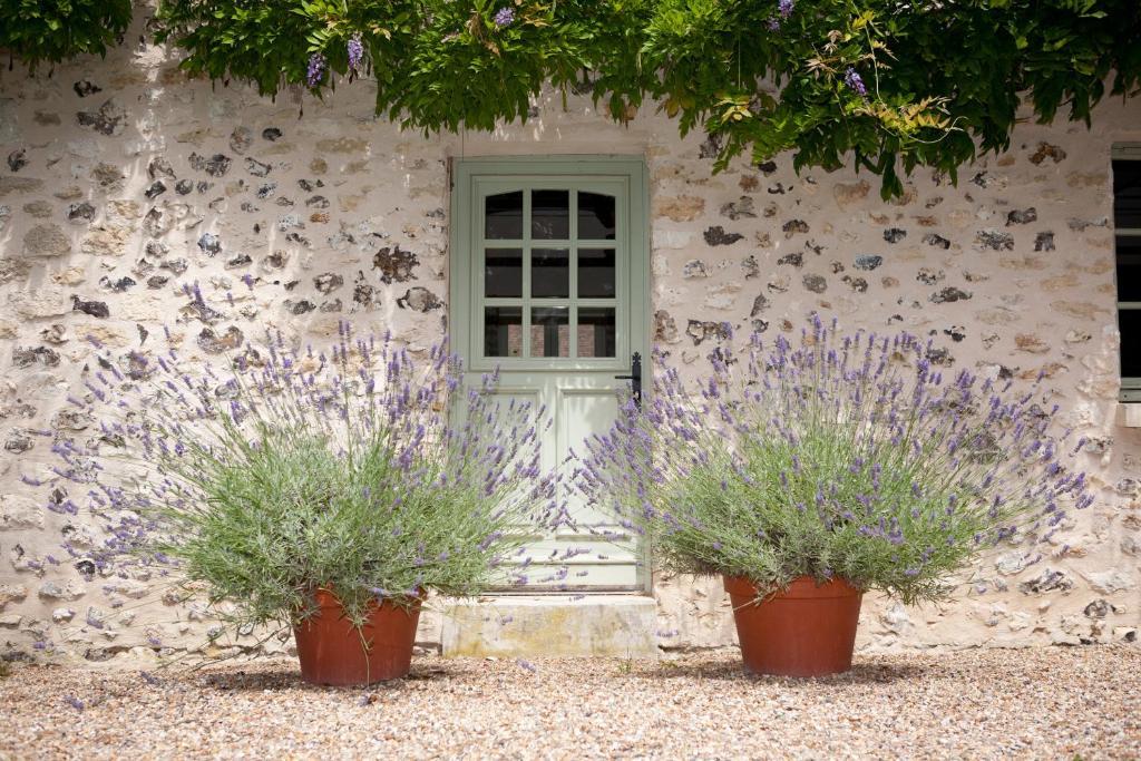 Gite Et Chambres D'Hotes Clos De Mondetour Fontaine-sous-Jouy Exterior foto