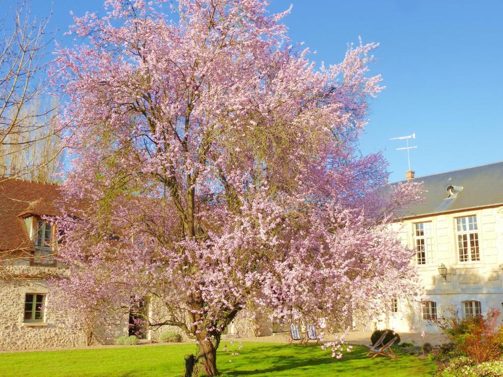 Gite Et Chambres D'Hotes Clos De Mondetour Fontaine-sous-Jouy Exterior foto